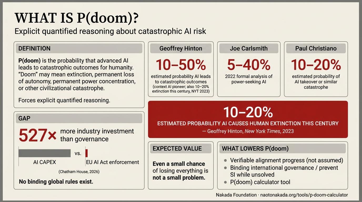 What Is P(doom)? infographic